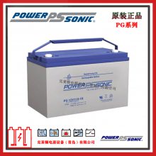 PowerSonicPG-12V110-FR 12V110AH Ǧά