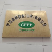 中消森防林业（山东）有限公司