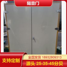 多功能厅防火门 防火阻燃隔音 钢制对开 会议室影院隔音门