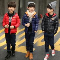 儿童羽绒棉服2018秋冬新款 轻薄款卡通小鸟图案男童女童宝宝棉衣