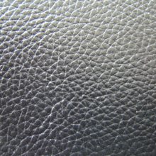 ȼ