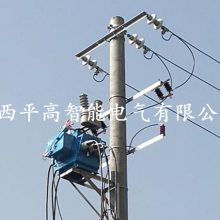 ѹն·ح10KVֽոɿFZW28-12(VSP5)