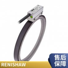 雷尼绍光栅尺VIONIC增量式光栅DSi用于双读数头圆光栅系统可直线