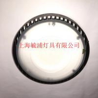 wBY 238P/190WVLED