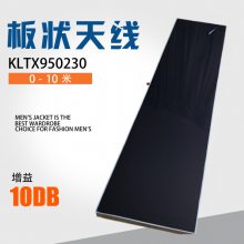 Զƽ ԲRFID ƵUHF ͨƵʶ