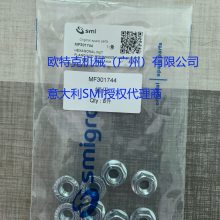ӦMF301744 ĸ SMIװ