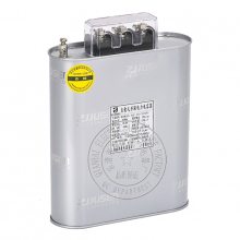 BSMJ0.45-25-3ʽ(lin)450Va