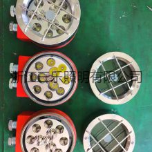 DGY36/24LX DGY5/24LX 【三乐照明 生产厂家】矿用隔爆型机车用LED信号灯