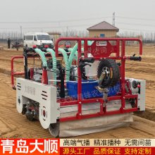 大顺平地气吸式菠菜香菜芹菜油菜生菜播种机 一穴一粒免人工省种子