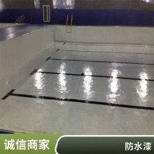 双组分防水防腐涂料 水池管道冷却塔隧道化工设备耐酸碱防腐漆