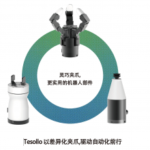 Tesollo||ָ|Delto-3f ָ