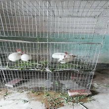四川哪里生产兔笼的厂家 产子兔笼价格 子母兔笼