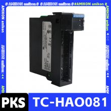 8C-TAIXA1 ģ