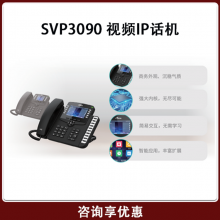 SVP3090G SVP3090W SVP3090EM ǧײIP IPӦ