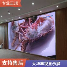 LED显示屏生产厂家，制作厂家，LE D小间距显示 屏安装