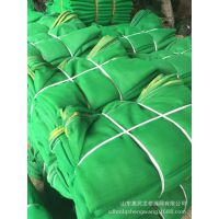 厂家供应建筑工地安*** 密目网 阻燃密目网 各种密目防护网