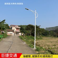 南昌路灯厂 市电220V接电LED户外防水照明 可接入智能操作系统