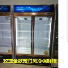 冷藏展示柜冷藏保鲜饮料商用冰箱立式陈列单门冷饮冰柜超市啤酒柜
