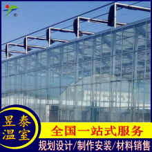 昱泰玻璃连栋温室蔬菜种植花卉育苗大棚材料YTWSWL1288