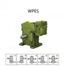 WPES50-40ϸ˼ٻ