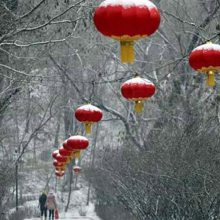 星光汇节日亮化公司(图)-景区树灯安装-太原树灯安装