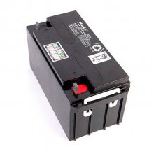 ѶNETIONNP-XA1224CH 12V24AH ʱ