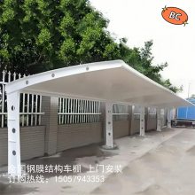 ��ͨС����ƿ����������� ��ɫĤ�����ۿɰ����ض���