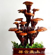 ֥ С辰֥ Ʒ֥ ޽֥辰 ֥辰 ɽ֥