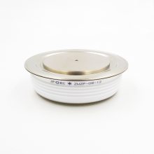 ZK300A2200V ZK300-22 ƽʽ ָ ϺJPEC
