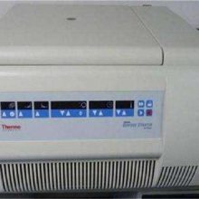 THERMO FISHER