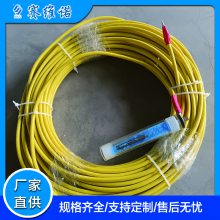 便携式参比电极 阴极保护电位测量 工程专用 腐蚀监测检测