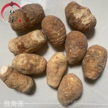 中药材白附子-白附子一公斤价格包邮