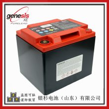 ԭװGenesisXE40ҽе UPS12V-42AhEnersys