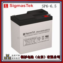 ԭװ SigmasTekSP6-2.3Ӧ ̨6V-2.3AHܵ