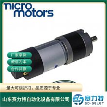 Micro Motors B138F.4/12.12  B138F.4/12.149