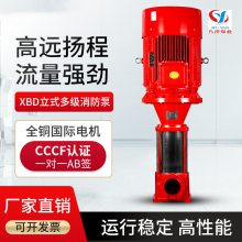 XBD9.5/45G-GDL 55KW 立式多级消防泵 喷淋泵 消火栓泵