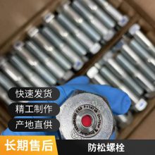 Ϻʤҵ SmartBolts ˨M30M36׼ڼ˿Ԥm24