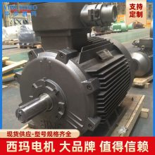 ˼YBBPϵ YBBP-5604-8 710KW ƸͱƵ10KVѹ