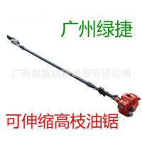 ԭװƷŷPPX270֦; 3.8 ޼֦