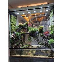 常德/张家界/益阳生态雨林缸、大型鱼缸、水族找植来植趣（案例）