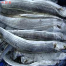 Ϻʺʽڱ ͻ عӦ