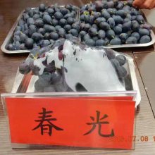۸硢糧ҵ绰ϵ