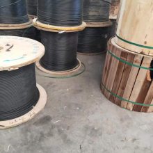 GYTA53-48B1ֱµģ˫˫׹˹µŹ뻧רɹ