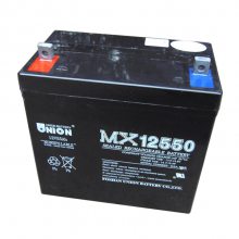 UNIONMX122000 12V200AH ֱ ͨŵԴ