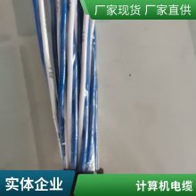 ZR-DJYP2VP2 6*2*1.0阻燃儀表屏蔽電纜發(fā)貨及時(shí)***