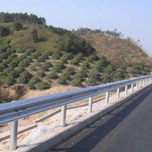 ײ λ峧 뻤