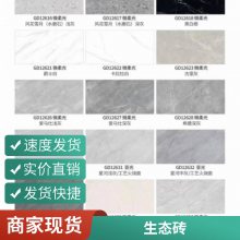 陶瓷生态地铺石 PC砖 仿石材地砖厂家 生产新材料室外砖 工程现货批发