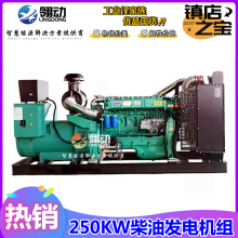 250kw千瓦潍坊柴油发电机组 高性价规格动力 市政工程备用发电