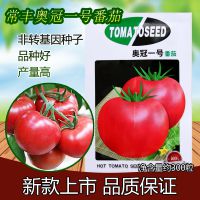 新品奥冠一号番茄种子批发西红柿种子中早熟连续生长庭院阳台盆栽