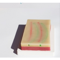 ӦУϰ轺
